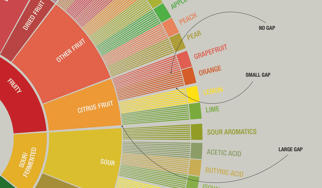 A Beginner’s Guide To Coffee Tasting Terminology