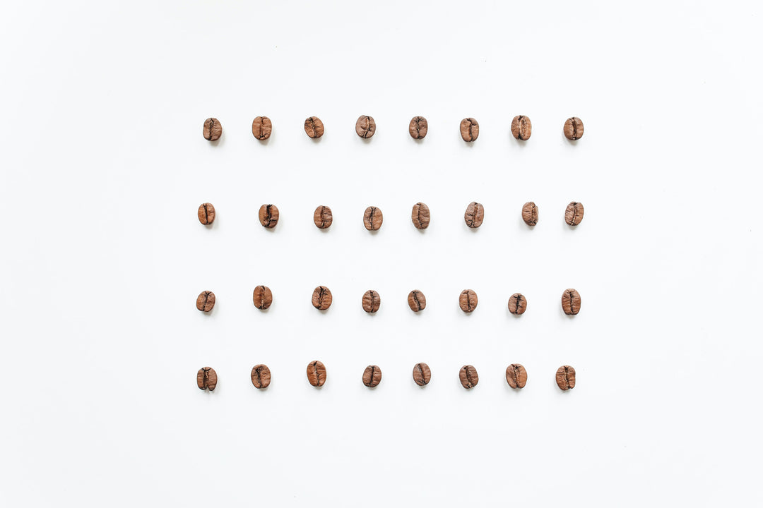 All Coffee