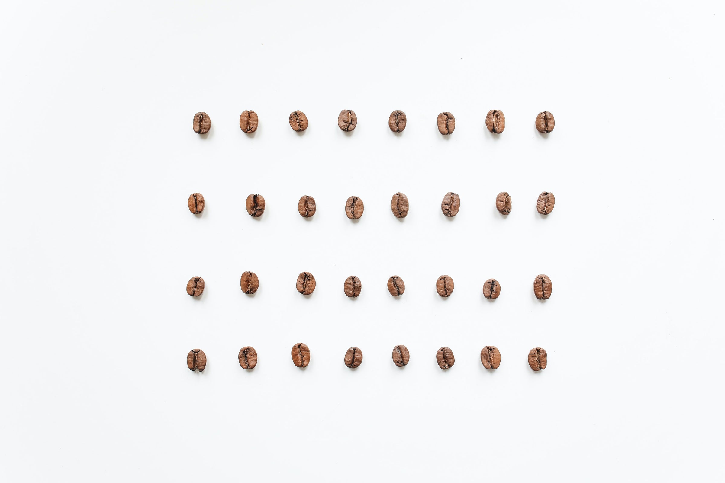 All Coffee