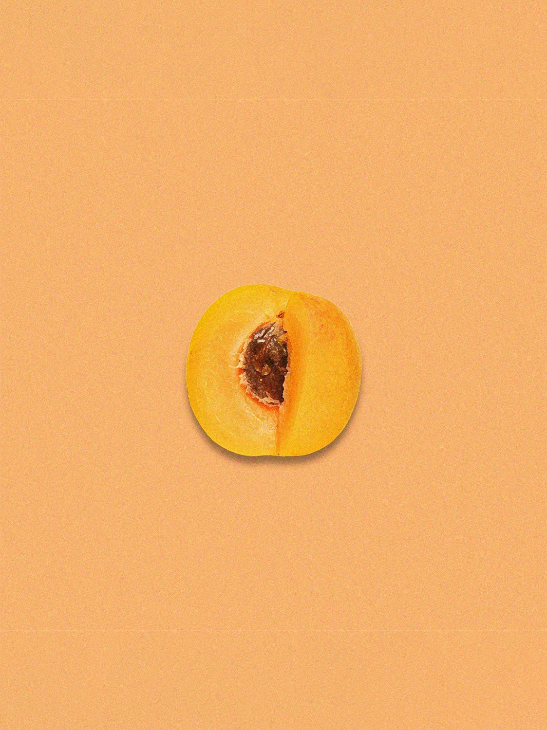 El Dorado [Wush Wush]