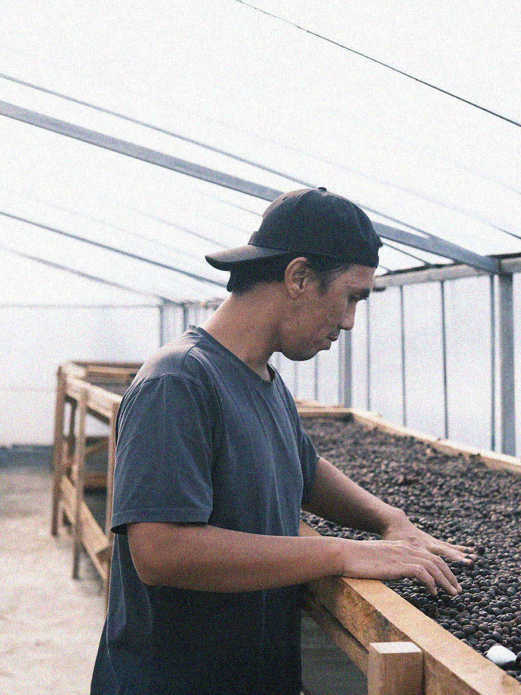Hendra Maulizar