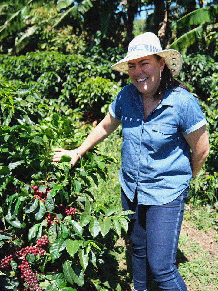 Las Lajas [Black Diamond]