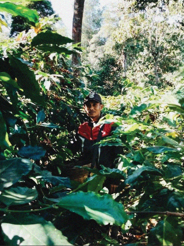 Supriyanto